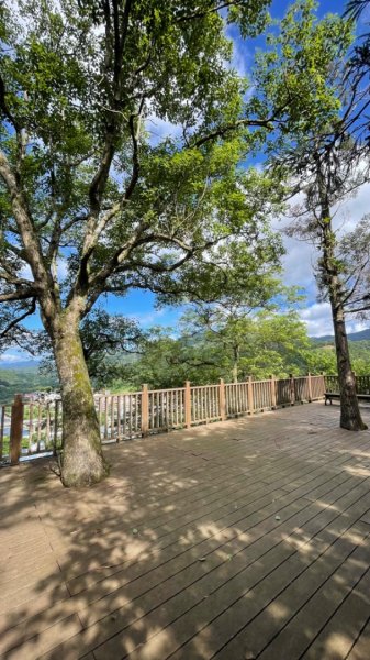 雨天備案💙 台灣博物館的古生代館-台大動植物館免費參觀-北投♨️季2808833