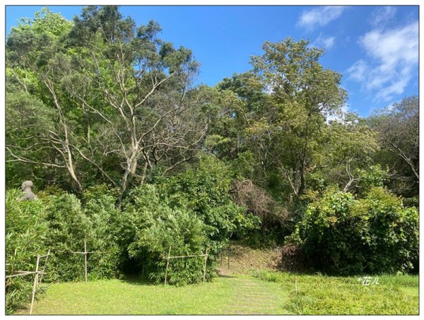 草嶺山、白石山、頭寮山 六連峰 O型路線2798521