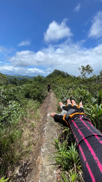 微笑山⛰️線-大棟-二格山-五分山-天上山-鳶山💎12條步道完成💙2841444