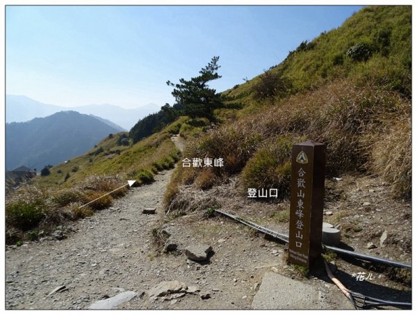 合歡山東峰1319728