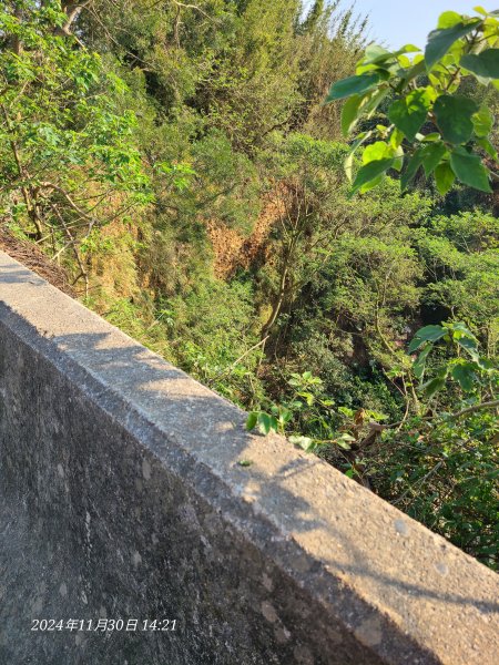 松柏坑山小百岳2729146