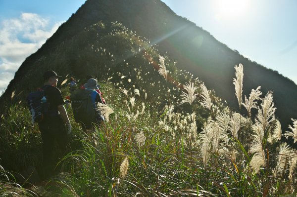 親子健行-劍龍鋸齒茶壺山779619