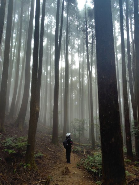 長壽山、肥崠山、醜崠山、大崠山、大崠山經建版2931615