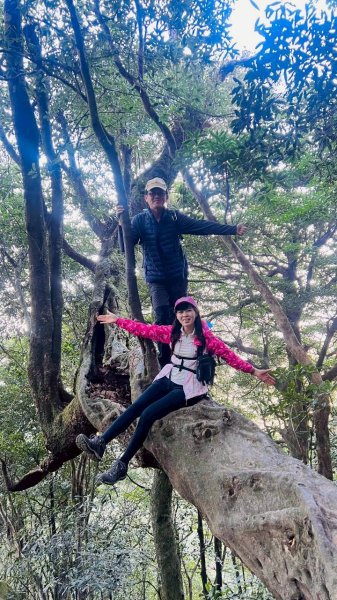 🌈3/15（日）北得拉曼神木+內鳥嘴山✨FB：熊熊趴爬走🌈3016815