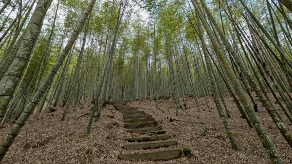 嘉南雲峰、石壁山步道3049089