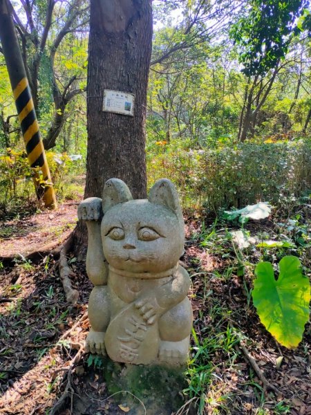 ［新竹十八尖山］+［高峰植物園］（小百岳）2397022