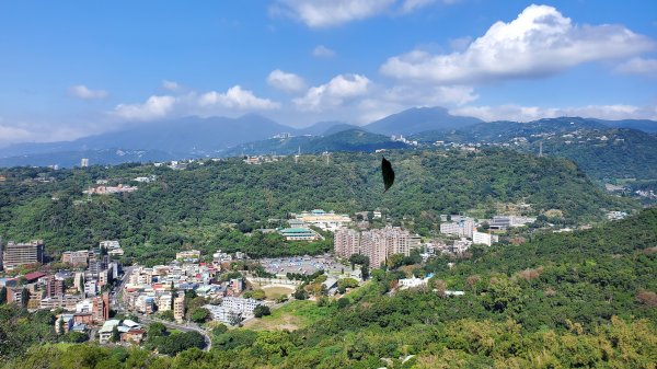 台北大縱走第五段1729258