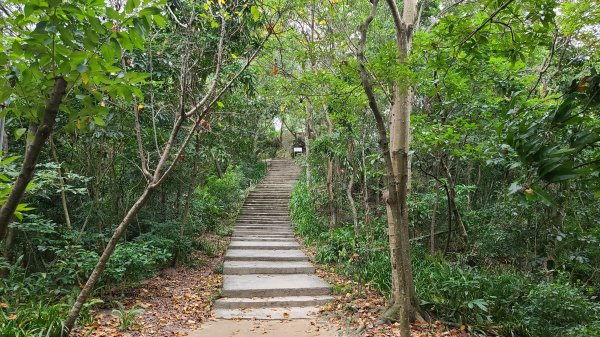 2021-1218 中和圓通寺土城青雲路1554151