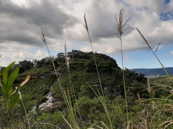 尋找山中鐵達尼、山形猶如鳳之丹鳯山753182