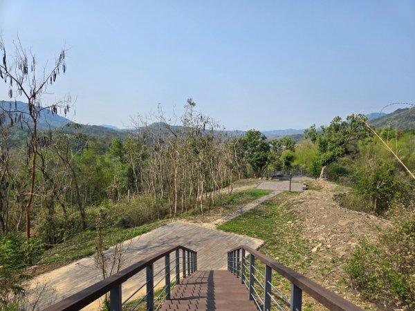 350高地、阿凰臘森林步道3033475
