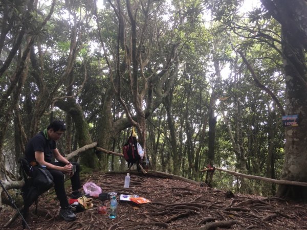 黑森林登山口左線上小島田山、右線下黑森林峰o型走一圈、路徑原始涼爽舒適⋯2189614