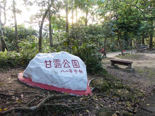 桐花公園、天上山~桐花開了！943093