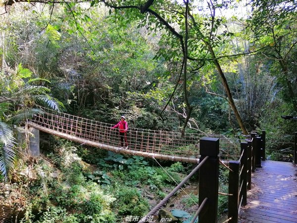 台中~仙氣繩橋山林環繞。 蝙蝠洞登山步道1295470