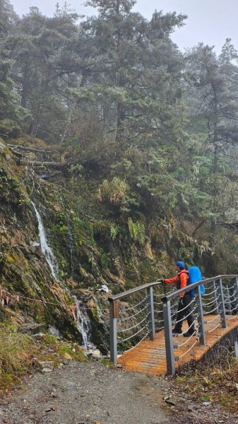 20250319～20嘉明湖國家步道🥶🥶🥶殘念😭2739799