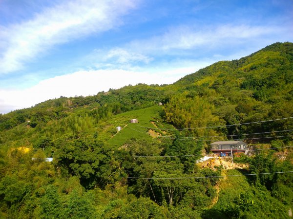 雲嶺之丘-石壁遊龍湖步道(石壁仙谷)1186409