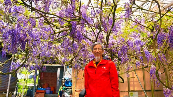 追花是簡單的快樂，賞花是恬淡的幸褔 4/32751453