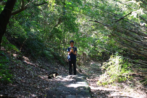 紗帽山_橫嶺古道O型857966