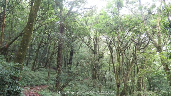 《雲林》望好望角｜石壁山嘉南雲峰步道(中側登山口）202506072805520