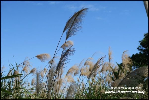 觀音山硬漢嶺132410