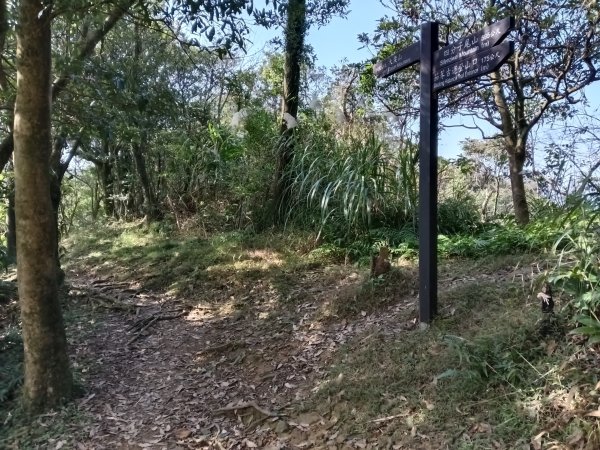 汐止區茄苳越嶺古道+上鹿窟崙山+九層坪山+四分尾山+大尖山8字走2981637