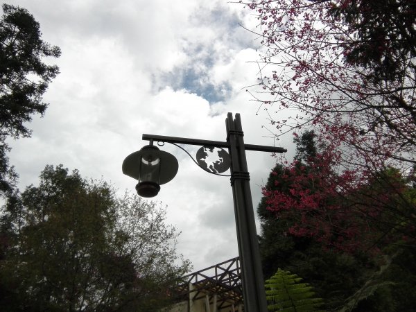 全台最美的森林小學~南投內湖國小468202