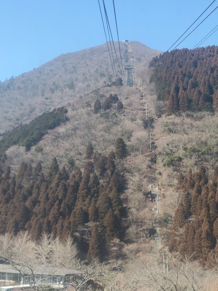 九州大分：別府纜車&鶴見岳2999281