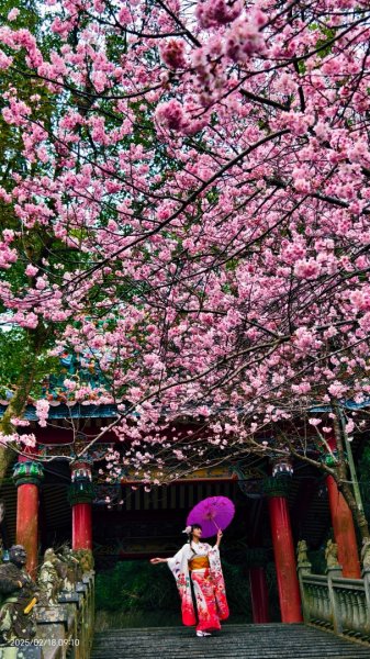 內湖碧山巖 2/182714798