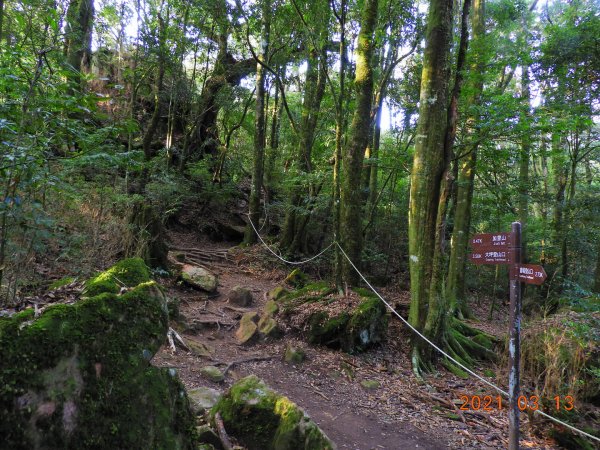 苗栗 南庄 加里山、哈堪尼山1304155