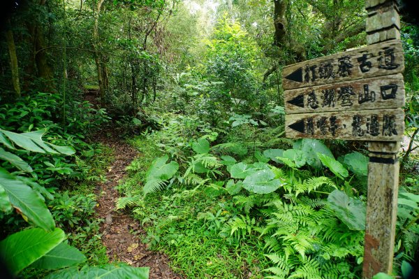 桃園 大溪 草嶺山、白石山、十三分山3040368