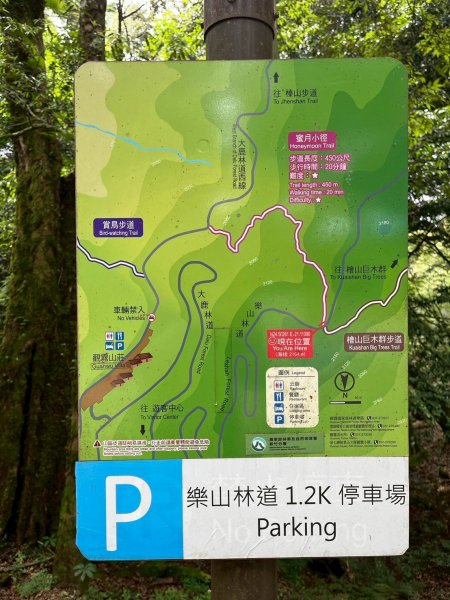 新竹 五峰 觀霧國家森林遊樂區 蜜月小徑+檜山巨木群步道2811448