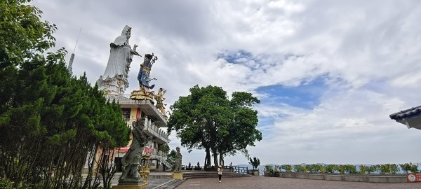 2026/05/24_大崎棟古道O型3066855