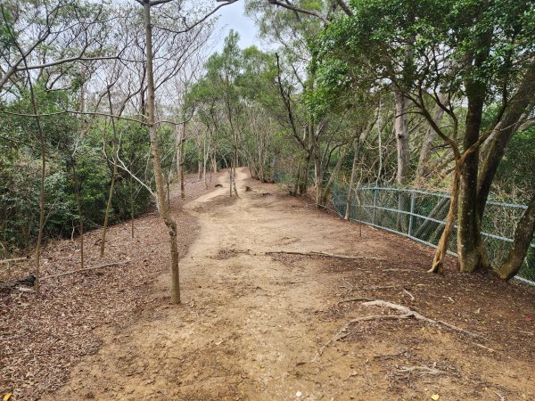 20260301濫坑山與鹿廚坑山3027260