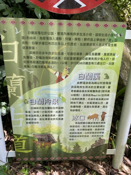 20250705-Ep.02白蘭溪古道-2025森遊竹縣皮皮獅探險隊2851390