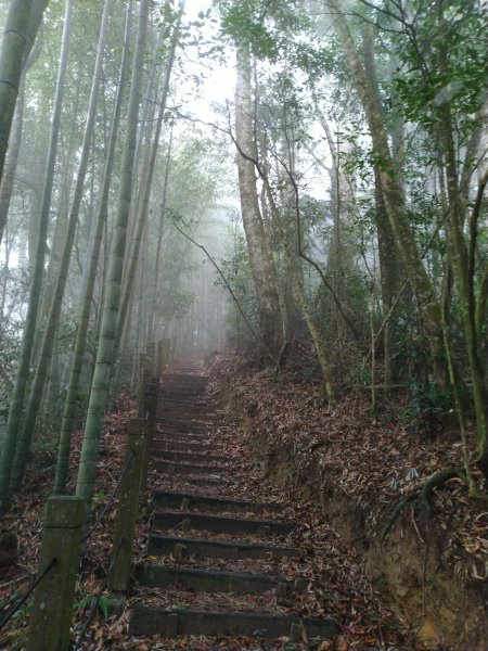2023-02-26 登嘉南雲峰巧遇草嶺櫻花季2043958