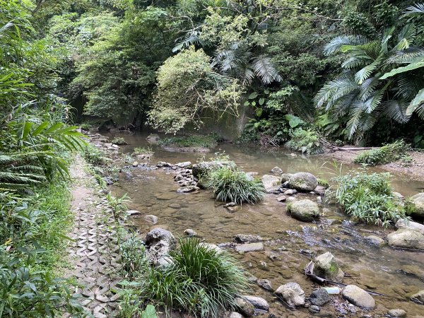 20250706-EP.08四寮溪生態步道-2025森遊竹縣皮皮獅探險隊2851864