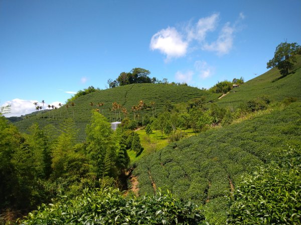 小百岳：嶺子腳山(太平山)1184382