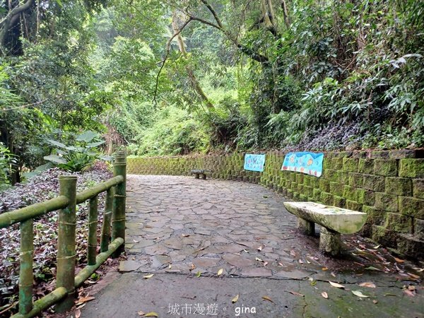 【新竹芎林】台灣百大必訪步道。 飛鳳山、觀日坪古道O繞2564333