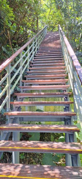 【2024觀音觀鷹尋寶任務】一日走完七條步道完成!2508399