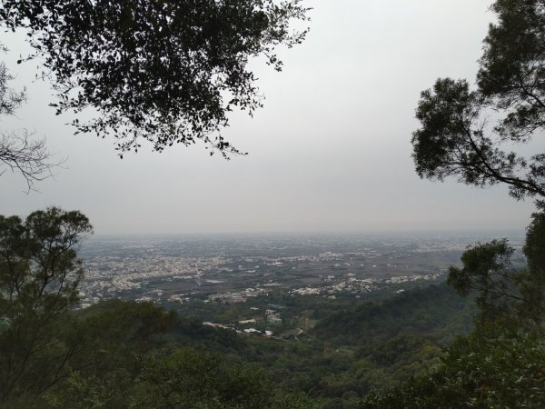 鼓山尖峰泡茶趣---田中森林登山步道815368