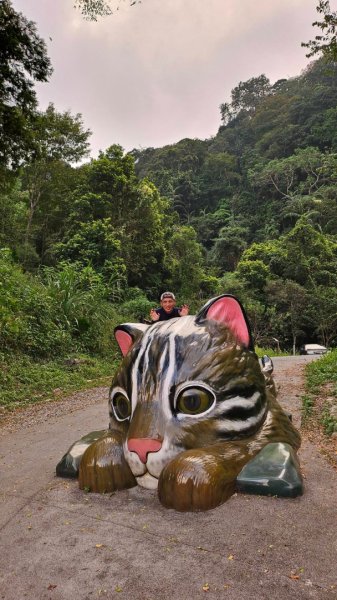 20251014雪見遊憩區 🚴‍♂️咖搭車走司馬限林道上東洗水山兩刷北坑山至大板根2916425