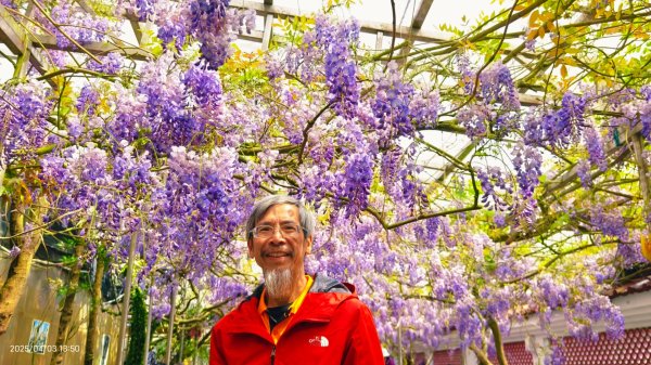追花是簡單的快樂，賞花是恬淡的幸褔 4/32751457