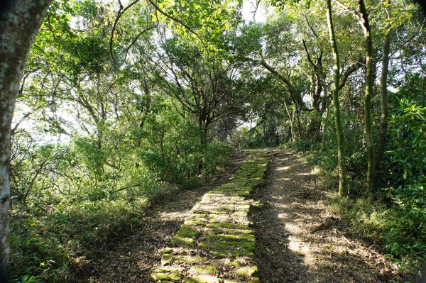 新北 三峽-土城 大暖尖山、火焰山、石門內尖山、十八羅漢岩、成福山3016613