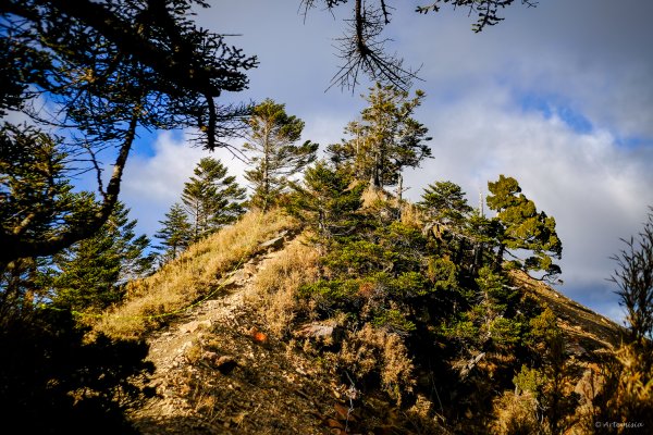 [冬訪大霸聖山岳參行]-榮耀桂冠B'bu' Papak聖稜精選輯2974783