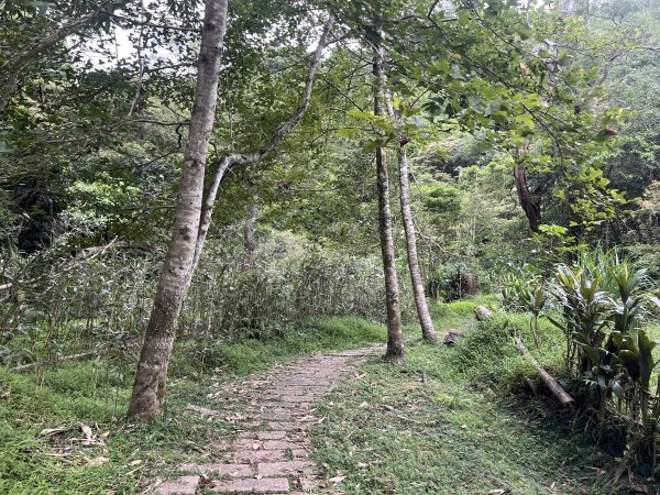 [微笑山線_ 第十段] 2025_0914 五分山系_菁桐煤礦段2889850