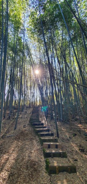 2025-01-30瑞太古道2704374