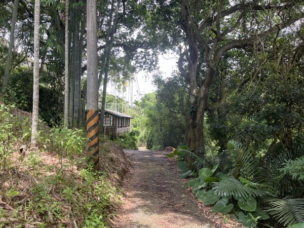 [皮皮獅Hike客任務-05/10] 2024_0721 石硬子古道(石峎古道)2557517