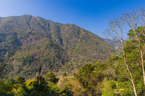 谷關七雄_唐麻丹山3015652