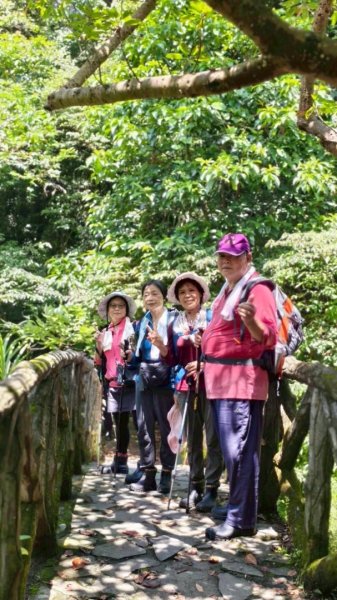 天母水管路走陽明山尖山2881342