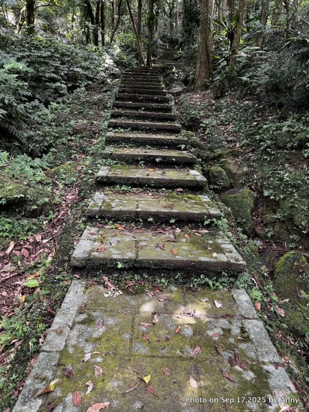 微笑山線【五分山系】菁桐煤礦段＋平溪小黃山段2906708