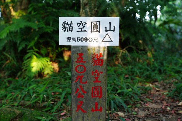 臺北 貓空圓山、貓空尖、十六分山、四面頭山、三玄宮山、鵝角格山、待荖坑山2585830